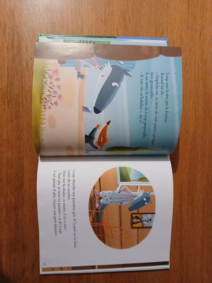 Lot mon histoires à raconter pour les petits et grands - photo numéro 7