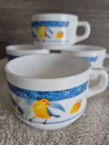 4 grandes tasses a café Arcopal