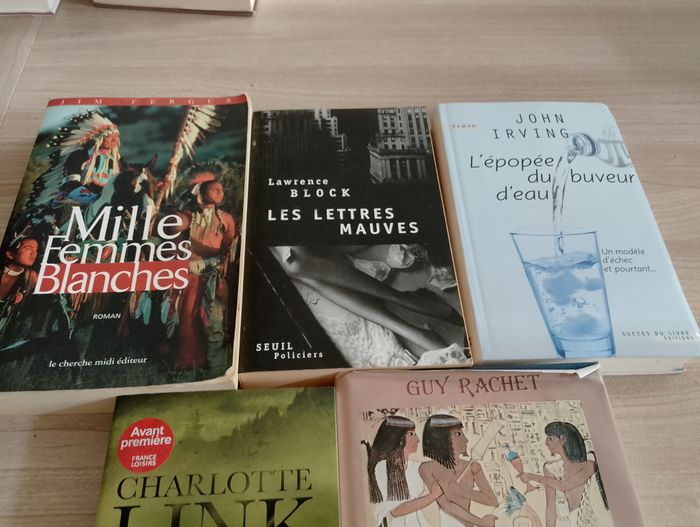 Lot de 5 livres, romans,(27)(Charlotte Link ect.) - photo numéro 2