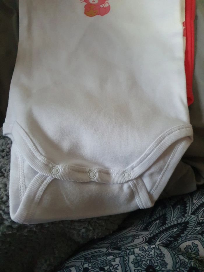 Lot 3 body bébé 9 mois - photo numéro 3