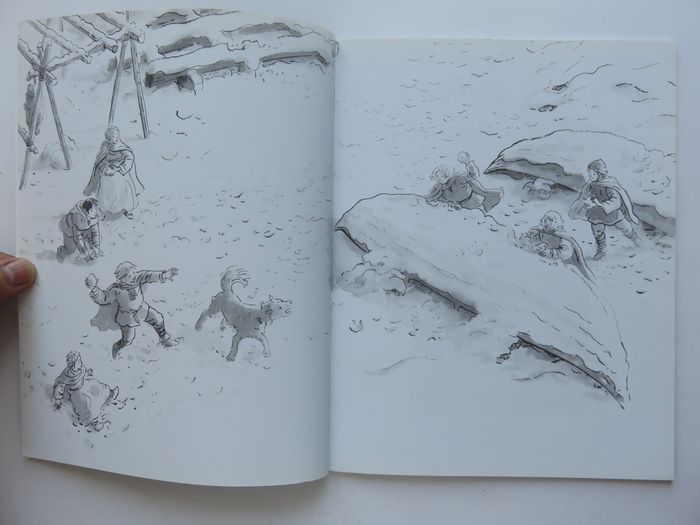 Documentaire jeunesse 8-13 ans : L'herbe verte du Groenland. Les Vikings au Xe siècle. (L'école des - photo numéro 3