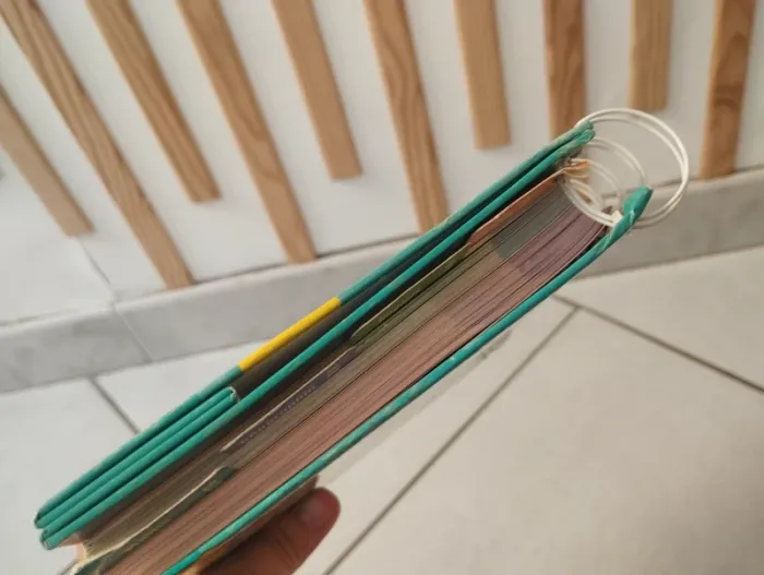 Fichier aide aux devoirs ce2 - photo numéro 15