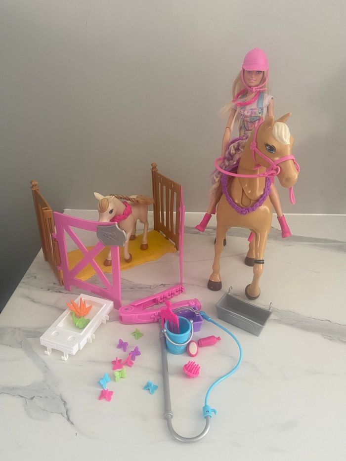 Cheval - photo numéro 2