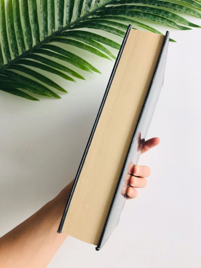 Cartel Paul loup sulitzer - photo numéro 3