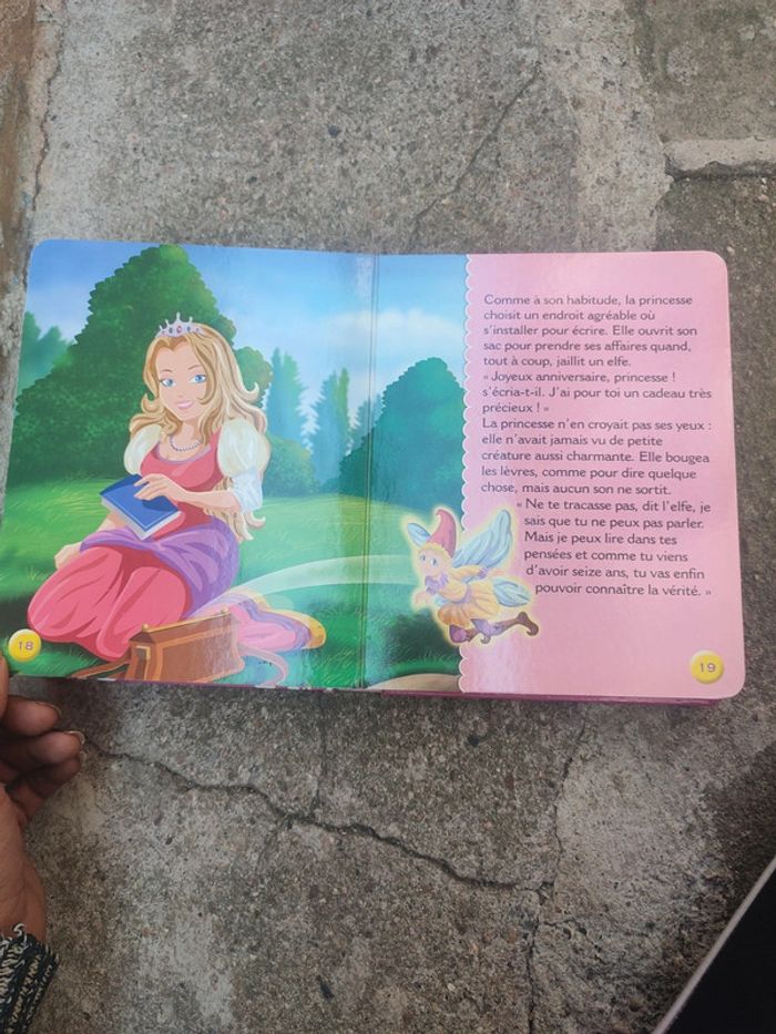 Livre le secret de la princesse - photo numéro 15