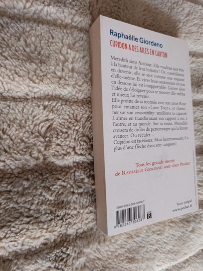 Cupidon a des ailes en carton - photo numéro 3