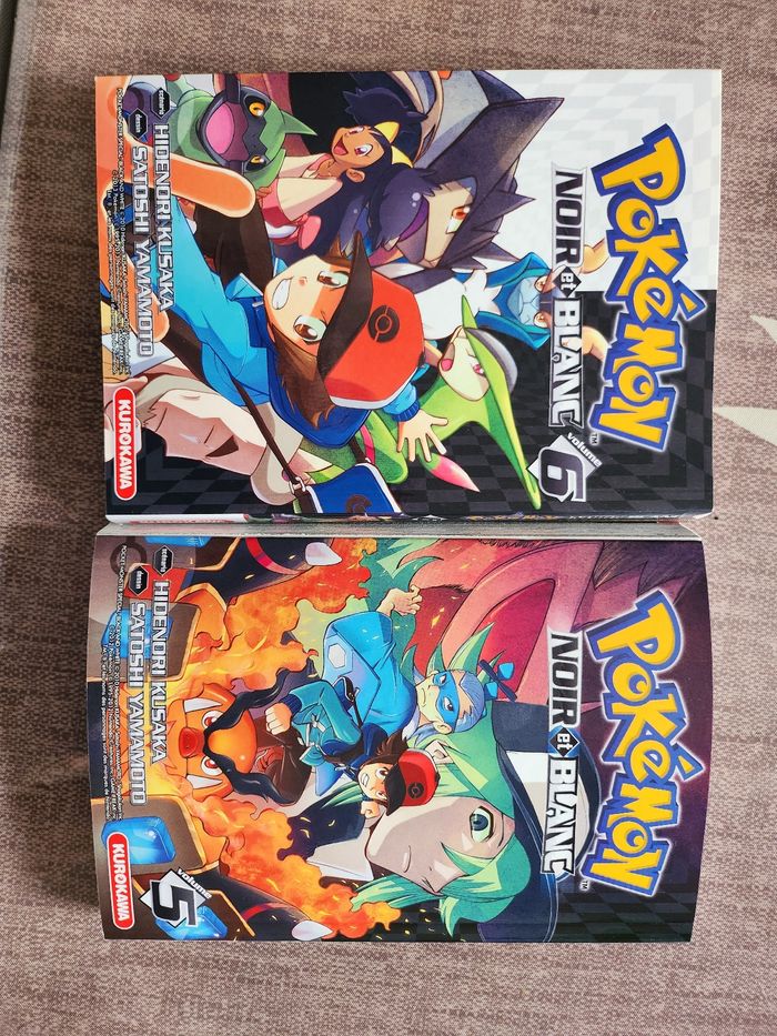 Lot de 2 mangas pokemon