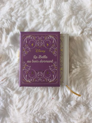 La belle au bois dormant livre miniature Disney