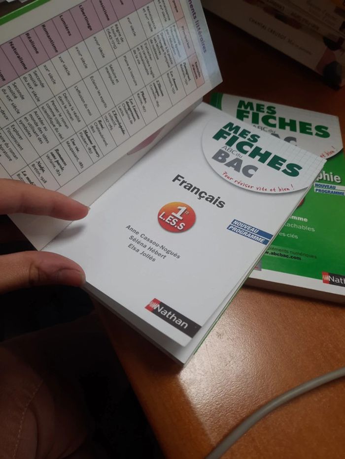 Fiche bac français - photo numéro 8