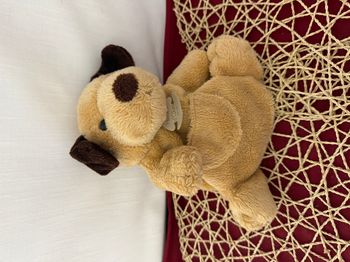 Histoire D' Ours Marionnette Chien