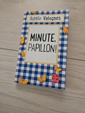 Minute papillon