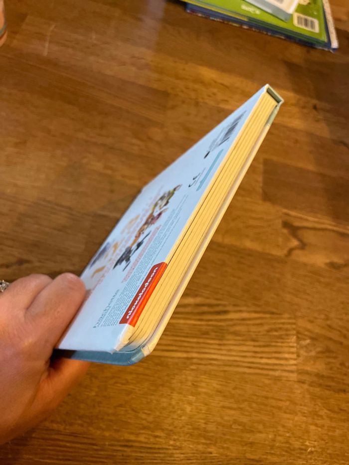 Livre cartonné Pat Patrouille L’imagier des tout petits Les chiffres Paw Patrol - photo numéro 6
