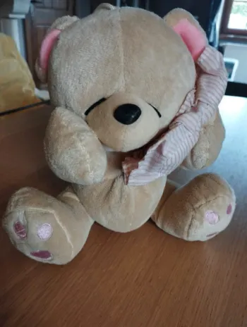 Peluche ours + coussin. Hauteur 25 cm