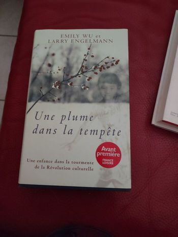 Une plume dans la tempête