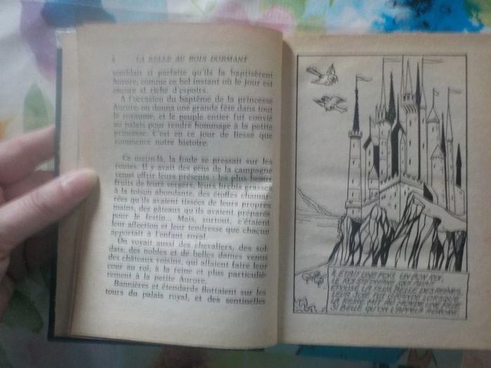 2 bibliothèque rose La Belle au bois dormant et L'Apprentie sorcière - photo numéro 6