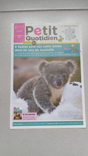 Le petit quotidien Koala