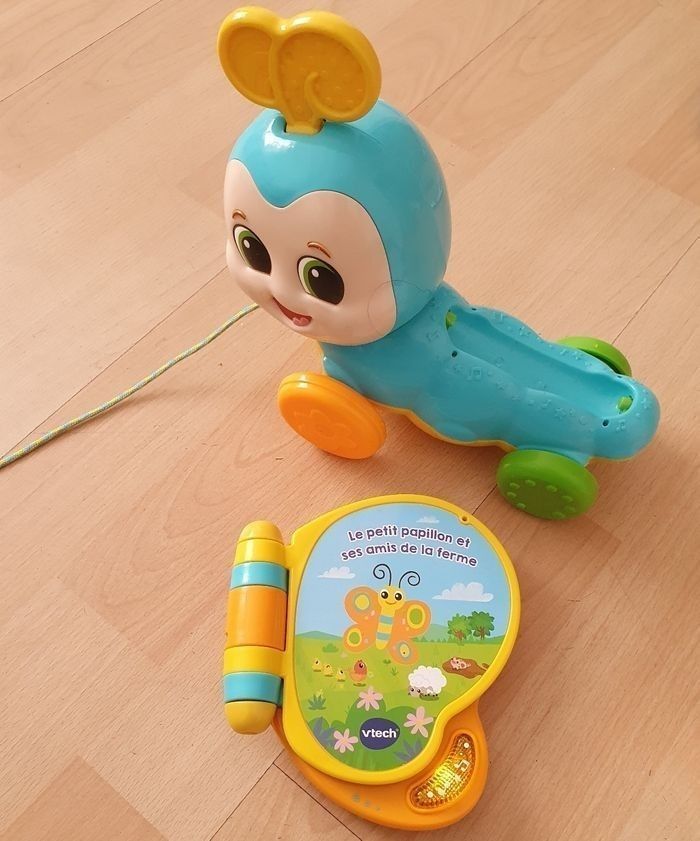 Papillon livre - photo numéro 3