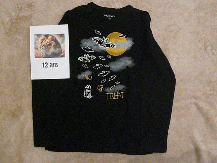 Lot de 2 tee-shirts 12 ans (n°6) - photo numéro 3