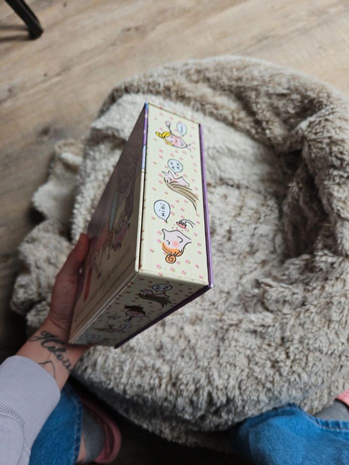 Boite livres les paresseuses - photo numéro 4