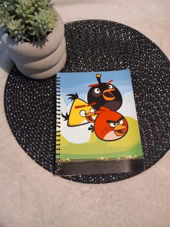 💚 cahier angry birds 💚