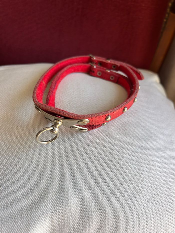 Ensemble accessoires chien - photo numéro 7