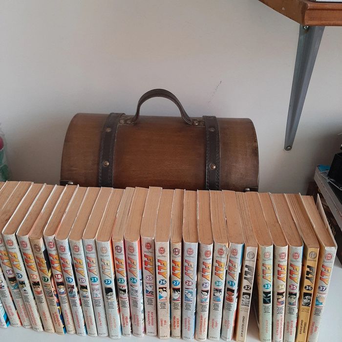 Manga Fly intégrale tome 1 à 37 - photo numéro 5
