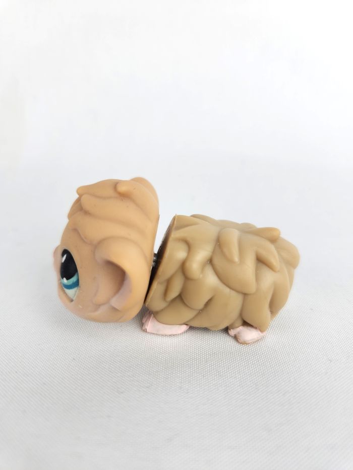 Littlest Petshop LPS Cochon d'inde #157 - photo numéro 4