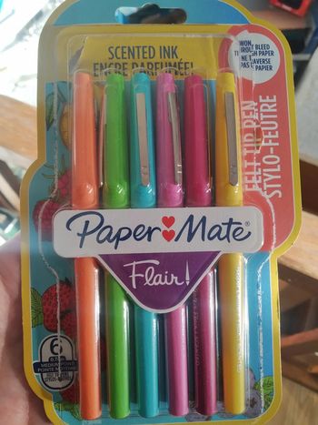 Feutres flair paper mate neufs