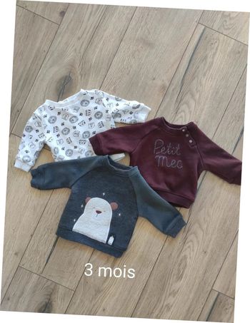 Lot 3 sweats 3 mois