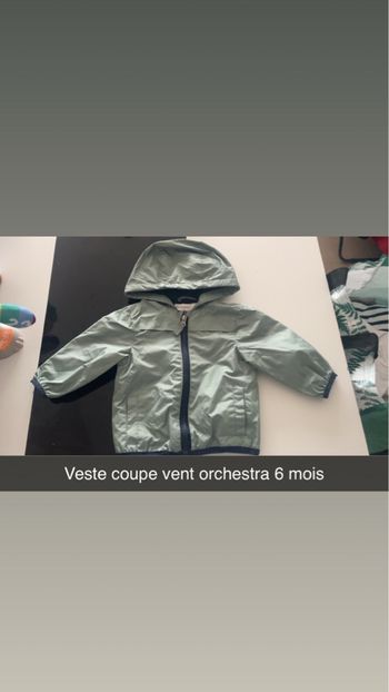 Veste 