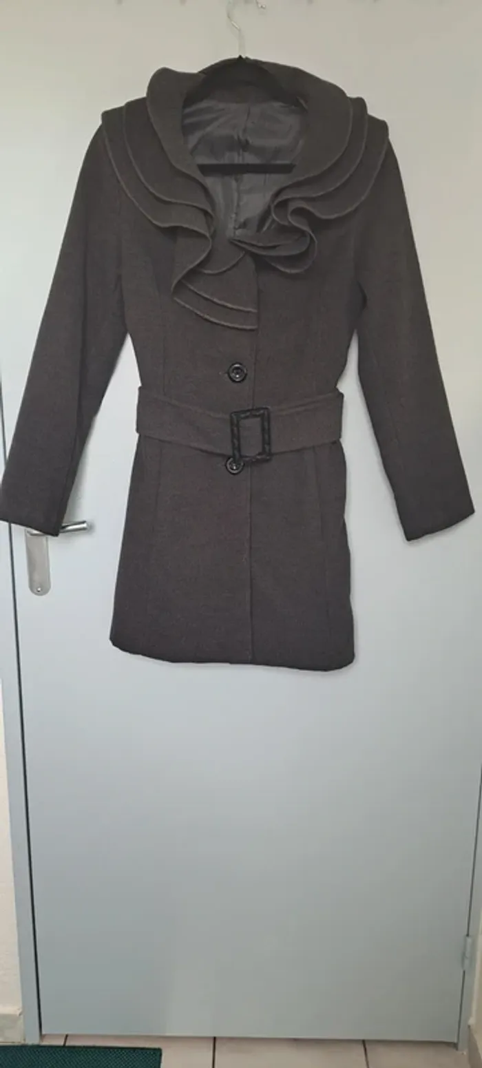Manteau - photo numéro 2