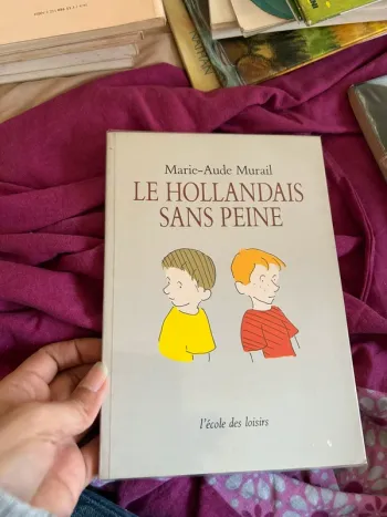 Le hollandais sans peine de Marie aude murail