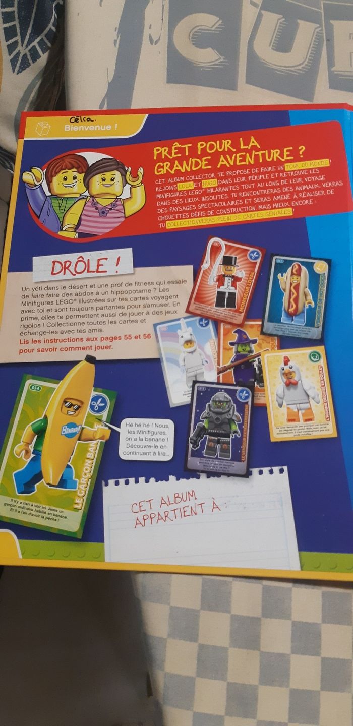 Album Lego collector - photo numéro 3