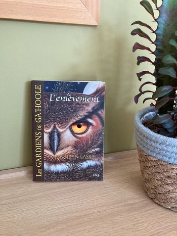 Les gardiens de ga’hoole