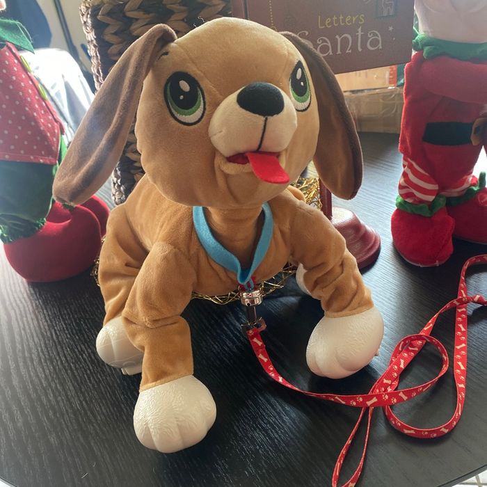 Chien avec sa laisse à promener les toutous