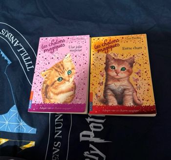 Les chatons magiques - Sue Bertley