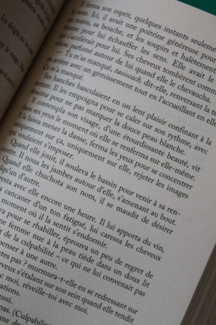 Songes d'Irlande 1 Nora Roberts - photo numéro 3