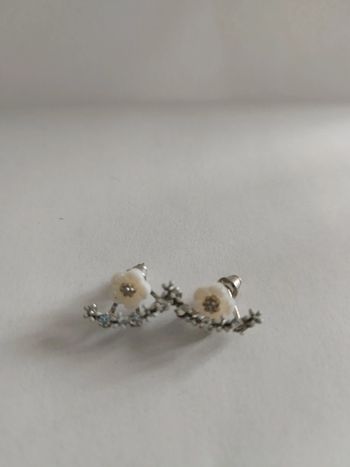 Boucles d'oreilles fantaisie