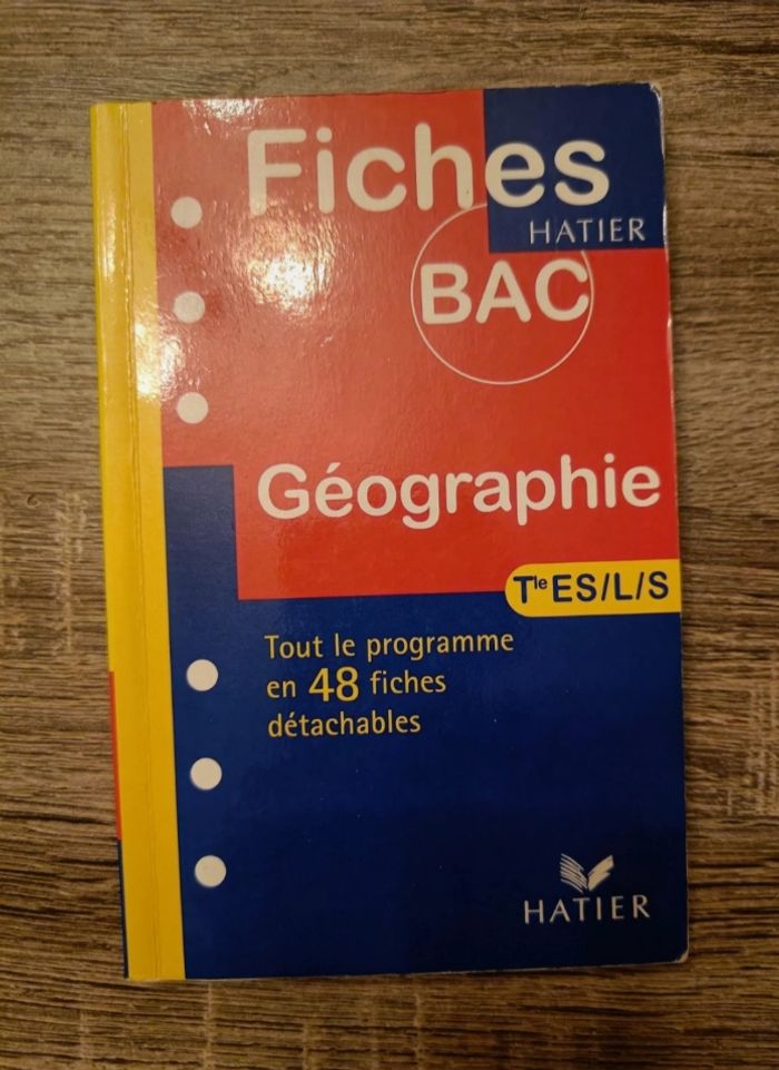 Fiches bac L ES S géographie