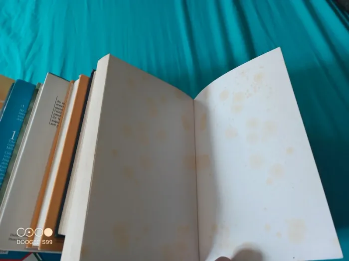 Lot de 7 livres de lecture - photo numéro 4