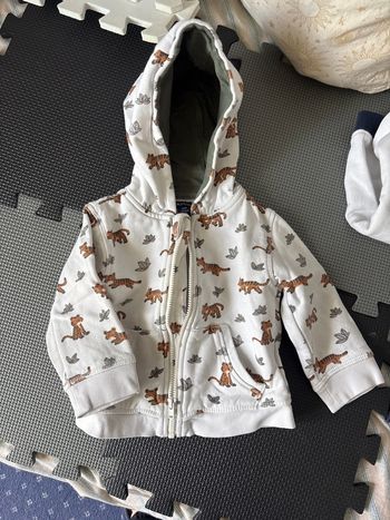 Sweat-shirt à capuche zippe