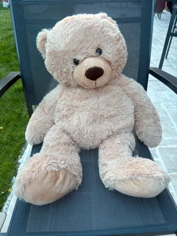 Ours en peluche