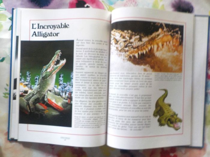 NOUS LES MONSTRES Ed. Hachette - photo numéro 10