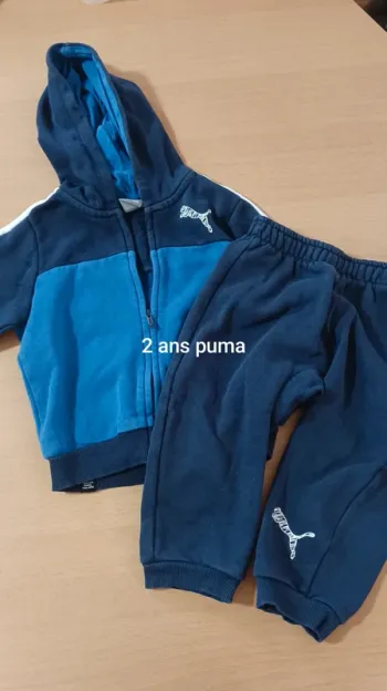 Ensemble puma