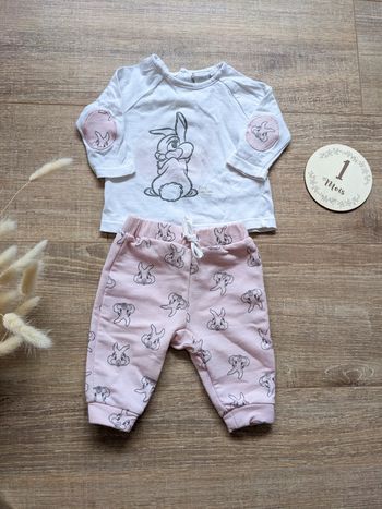 Ensemble Disney