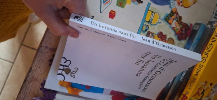 Livre un hosanna sans fin - photo numéro 2