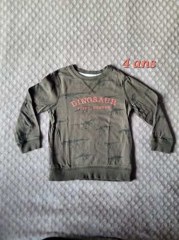 Manches longues dinosaures