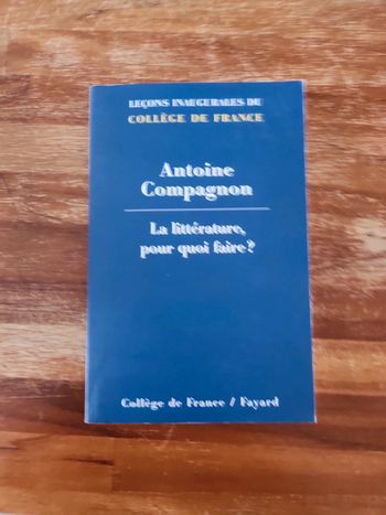 Livre : La littérature pour quoi faire ?