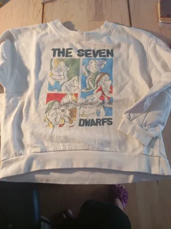 Pull neuf les sept nains