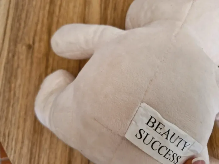 Ourson beauty succès - photo numéro 5
